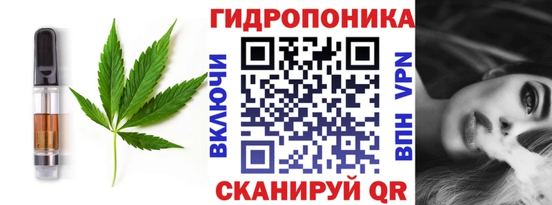 Canna-Cookies конопля  darknet формула  Котово 