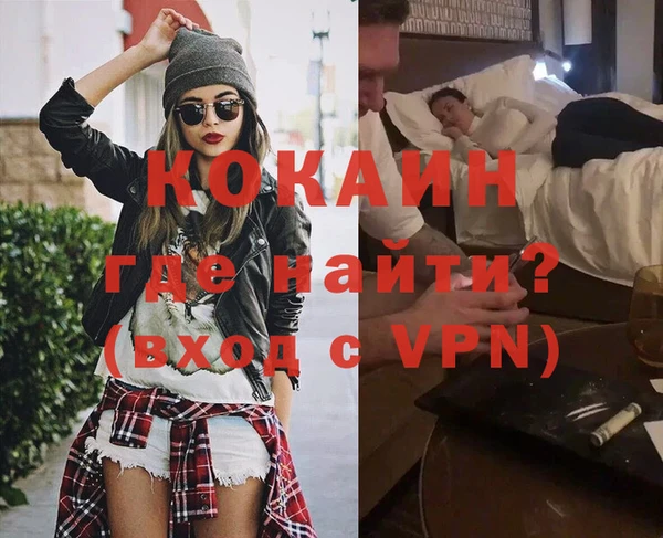 гашик Алексин
