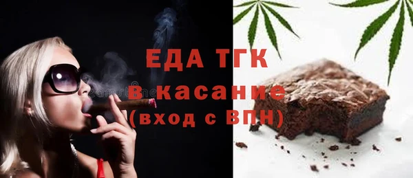 гашик Алексин