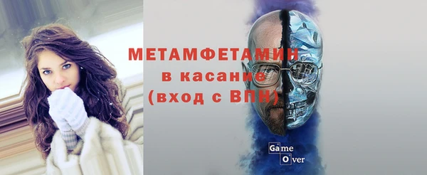 прущие грибы Абдулино