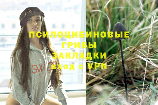 прущие грибы Абдулино