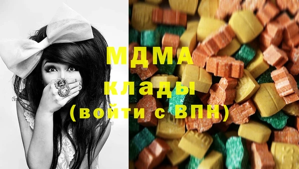 гашик Алексин