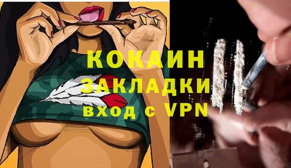 прущие грибы Абдулино
