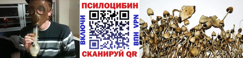 цена   Котово  Псилоцибиновые грибы мицелий 